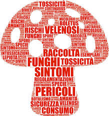 Comunicazione Utili e Importanti - CONOSCERE IL MONDO DEI FUNGHI - Consigli e Vademecum - COSA SAPERE - 2026
